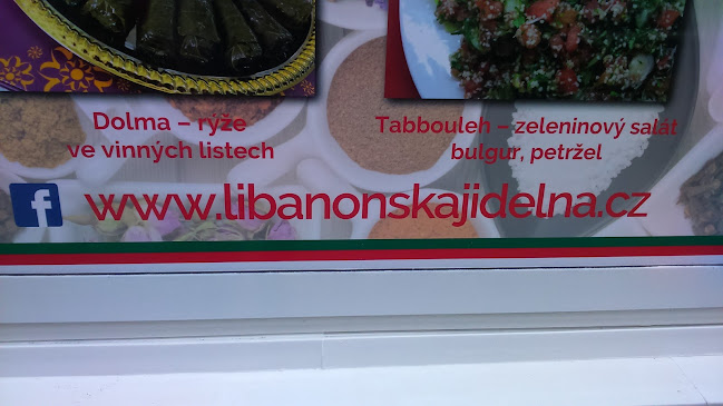 Comentarii opinii despre Libanonská restaurace Cedr