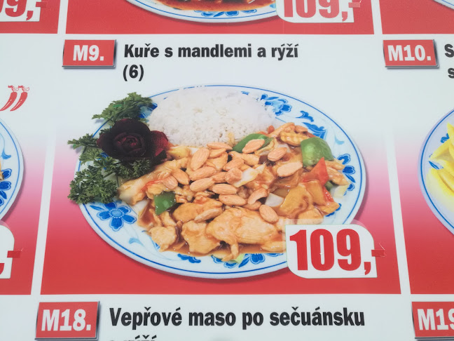 12, Kyjevská 509, Bubeneč, 160 00 Praha 6