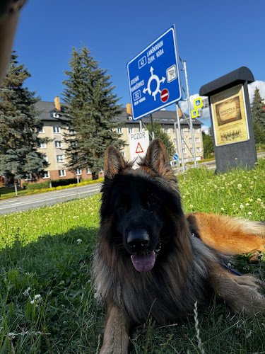 Opinii despre Kebab House Kralíky în Králíky - Gastronomie a pohostinství