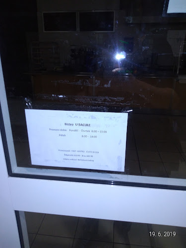 Opinii despre Bistro U Bacule în Brno - Gastronomie a pohostinství