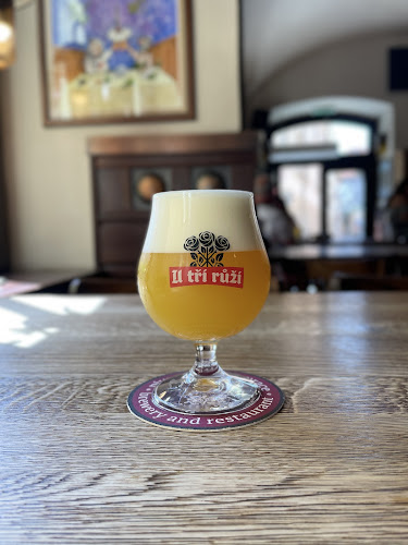 Opinii despre Pivovar U Tří růží în Staré Město - Gastronomie a pohostinství