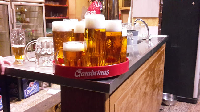 Comentarii opinii despre Pivnice U Ptáčků