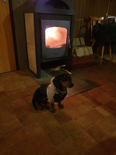 Unnamed Road, 788 15, Velké Losiny