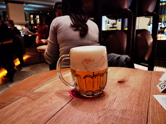 Restaurace Červený Jelen - Gastronomie a pohostinství