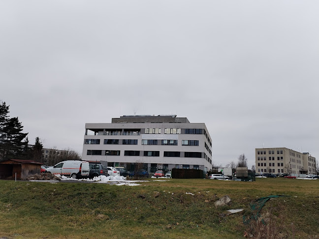 La Fresca cantina & cafe