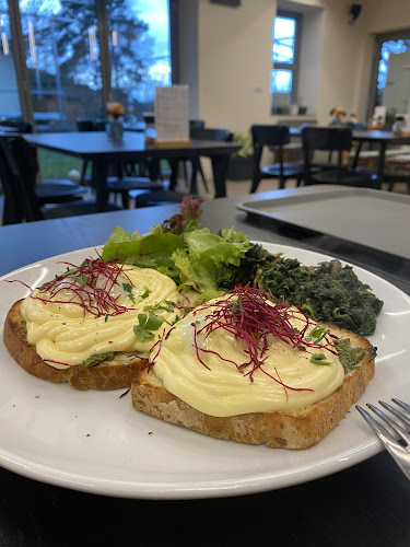 Opinii despre Vlaštovka în Klatovy - Gastronomie a pohostinství