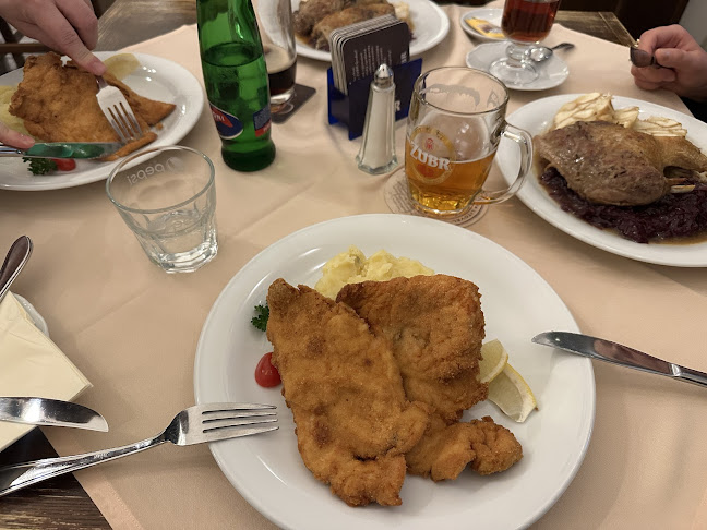 Restaurace U Labutí