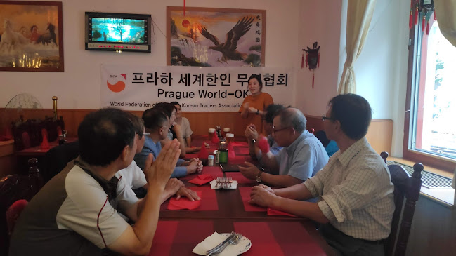 12, Kyjevská 509, Bubeneč, 160 00 Praha 6