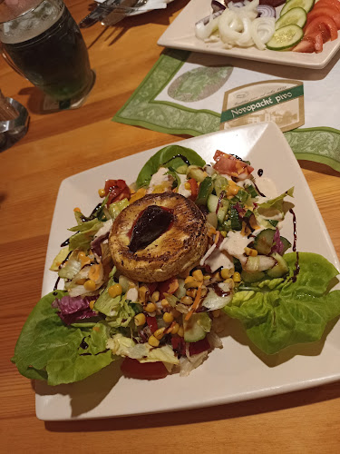 Vrchovinská 210, 509 01 Nová Paka