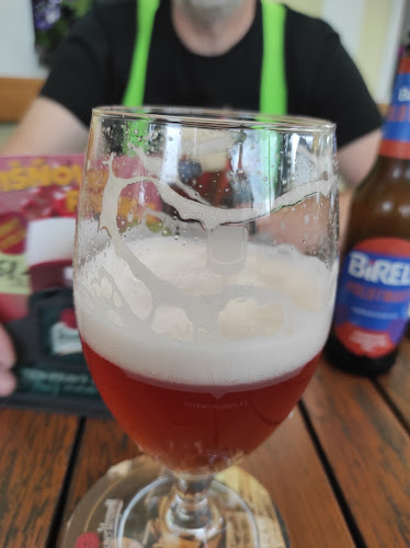 Comentarii opinii despre Staroplzenecká restaurace