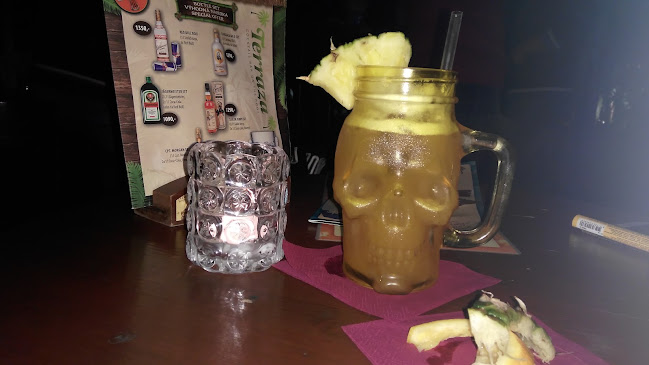 Terraza | bar s vyhlídkovou rozhlednou - Gastronomie a pohostinství