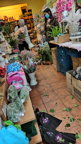 Květinářství u Santošky