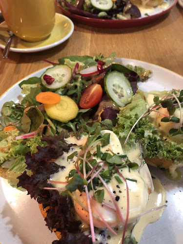 14, Veveří 461, 602 00 Brno-střed