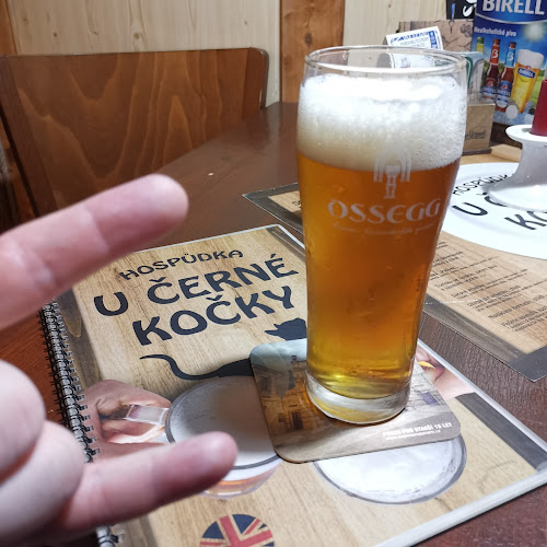 Hospůdka U Černé kočky - Teplice