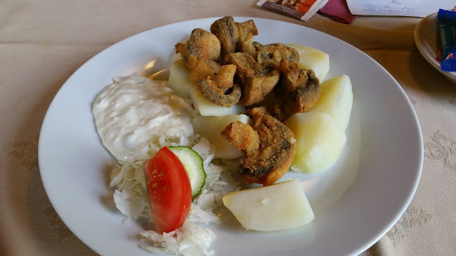 Opinii despre U Dudáka în Praha - Gastronomie a pohostinství