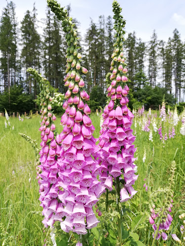 751 31 Týn nad Bečvou-Lipník nad Bečvou