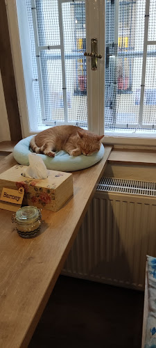 Kavárna Kočičí Praha - Gastronomie a pohostinství