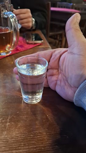 Opinii despre Pivnice u Járy în Praha - Gastronomie a pohostinství