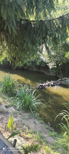 Comentarii opinii despre U Ebuš