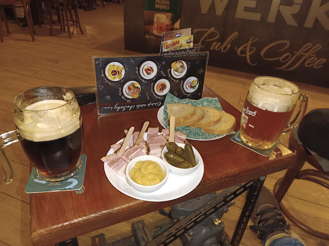 Kopernikova 1154, 739 61 Třinec 1-Lyžbice