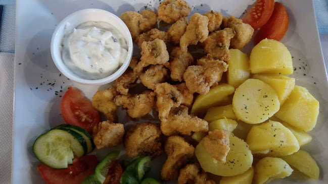 Opavská 513, 747 22 Dolní Benešov