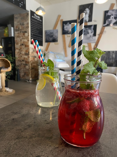 Kočičí kavárna - Gastronomie a pohostinství