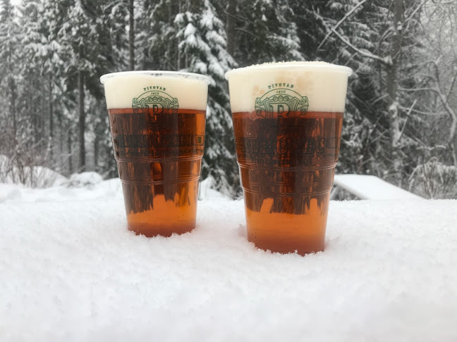 Opinii despre Občerstvení Pod Lanovkou în Tanvald - Gastronomie a pohostinství