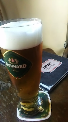 Terronská 619, 160 00 Praha 6-Bubeneč