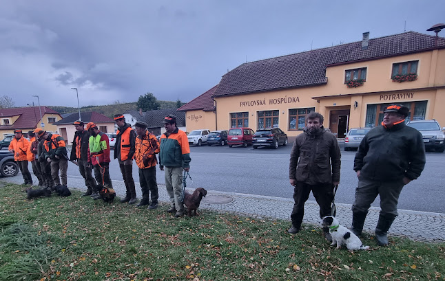 Opinii despre Pavlovská hospůdka în Brno - Gastronomie a pohostinství