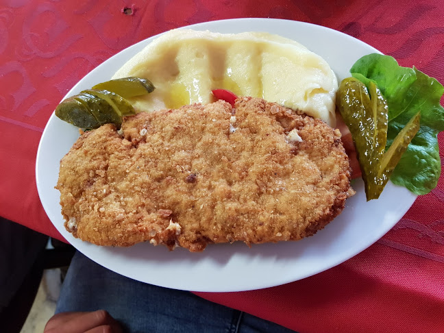 Opinii despre Restaurace U Kaple în Lovosice - Gastronomie a pohostinství