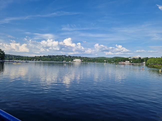 Restaurace Rybářská bašta - Brno