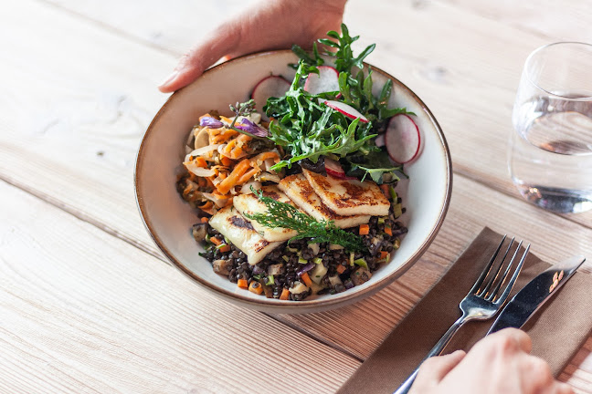 Opinii despre Lobster Bistro în Olomouc - Gastronomie a pohostinství