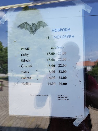 Hospůdka U netopýra - Brno
