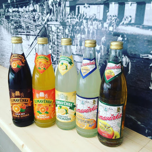 Říční lázně 350, 339 01 Klatovy III