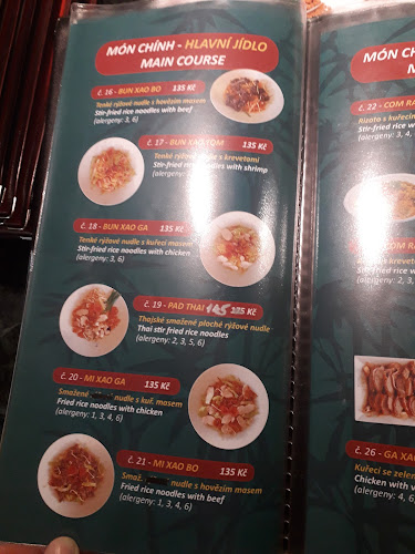 Opinii despre Pho VIET NAM Restaurace în Šlapanice - Gastronomie a pohostinství