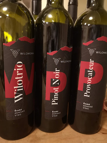 ALIFEA s.r.o. - Praha