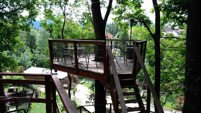 Kavárna v korunách stromů