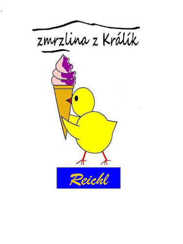 Comentarii opinii despre Zmrzlina REICHL