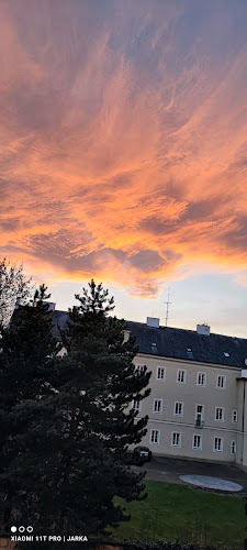 Kavárna U Halky - Město