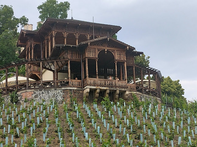 Comentarii opinii despre Viniční altán