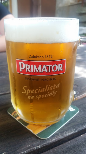 Opinii despre Hostinec U Studny în Hradec Králové - Gastronomie a pohostinství