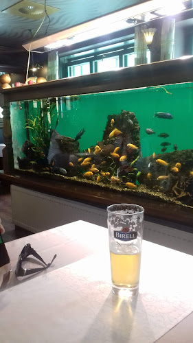 Opinii despre Restaurace Flora în Přelouč - Gastronomie a pohostinství