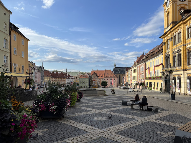 Botanik bistro - Gastronomie a pohostinství