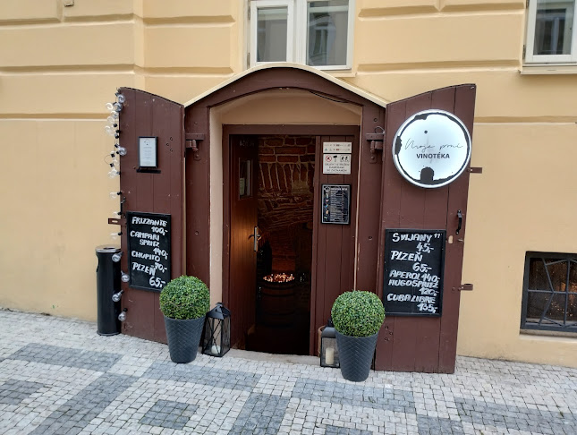 Štítného 408/16, 130 00 Praha 3-Žižkov