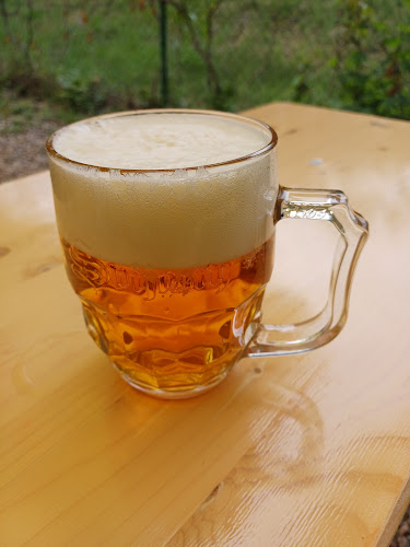 Podbabská 995, 160 00 Praha 6-Bubeneč