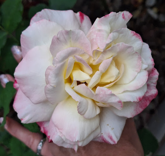 Pohostinství u mostu - Brno