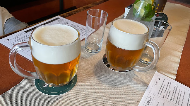 Comentarii opinii despre Na Paloučku