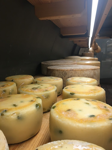 the italians wine food - Praha