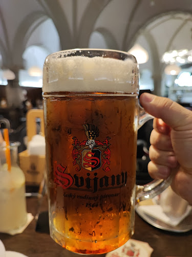 Comentarii opinii despre Radniční sklípek