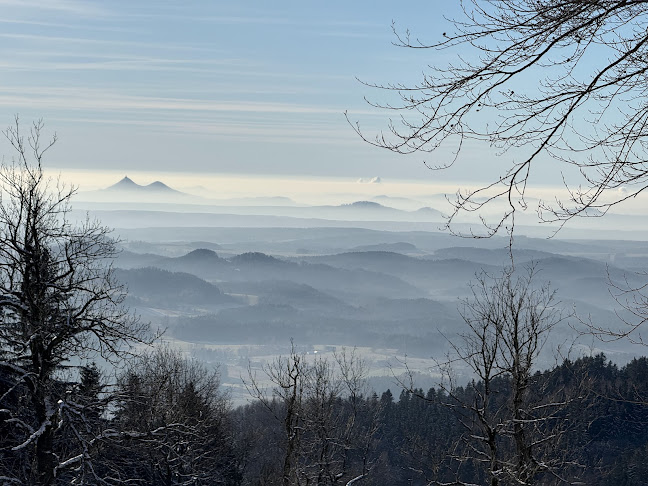 Chata Pláně pod Ještědem - Gastronomie a pohostinství